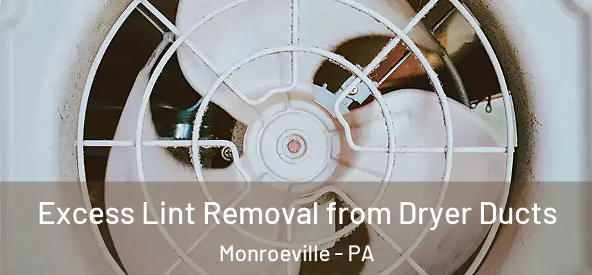  Excess Lint Removal from Dryer Ducts Monroeville - PA