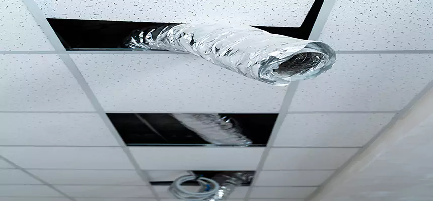 Our Air Duct Pet Hair Removal Services in Monroeville, PA