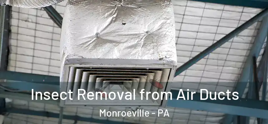  Insect Removal from Air Ducts Monroeville - PA