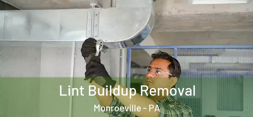  Lint Buildup Removal Monroeville - PA