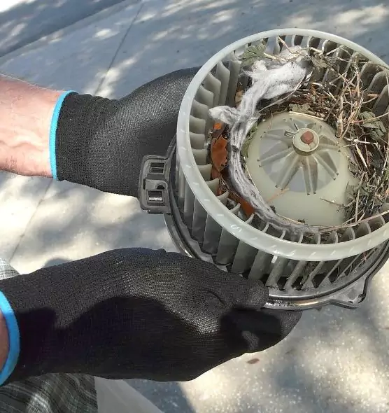 About Air Duct Mice Removal in Monroeville, PA